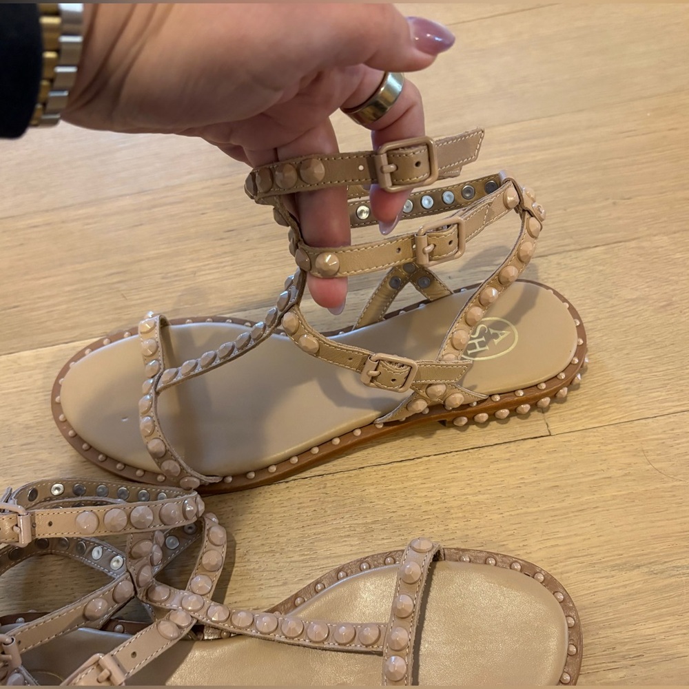 ASH Beige Studded Strappy Women's Sandals - Picture 5 of 5